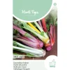 Horti Tops Moestuin<Snijbiet bright lights regenboog