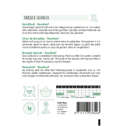 Horti Tops Moestuin<Spruitkool roodnerf