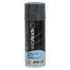 Sprayton Lakken<Spuitlak ZG antraciet 14203 400 ml