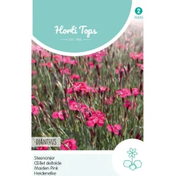 Horti Tops Moestuin<Steenanjer Karmijnrose