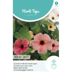 Horti Tops Moestuin<Suzanne-met-de-mooie-ogen African Sunset