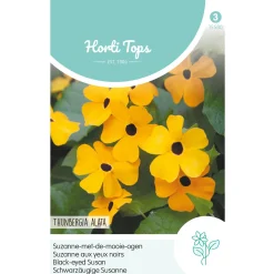 Horti Tops Moestuin<Suzanne-met-de-mooie-ogen oranje
