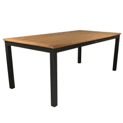 Bois le Duc Tuintafels<Tafelblad Tico 160x90 cm