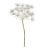 Boltze home Kunstplanten En Kunstbloemen<Tak Hogweed creme 76 cm