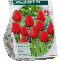 Baltus Bodemverbeteraars<Tulipa Apeldoorn Rood Darwin per 10