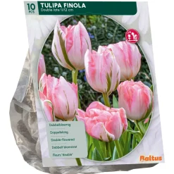 Baltus Bodemverbeteraars<Tulipa Dubbel Laat Finola per 10