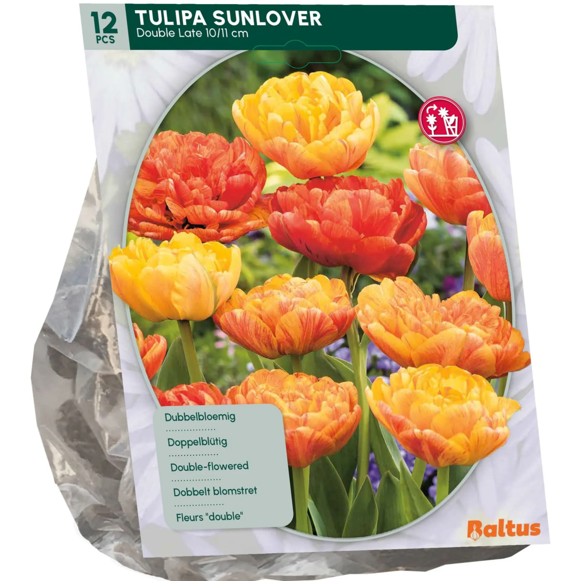 Baltus Bodemverbeteraars<Tulipa Dubbel Laat Sunlover per 12