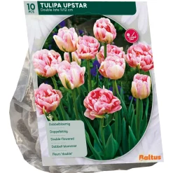 Baltus Bodemverbeteraars<Tulipa Dubbel Laat Upstar per 10