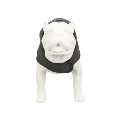 Friendly Pet Hondenjas<Vest hond Luna grijs 20cm