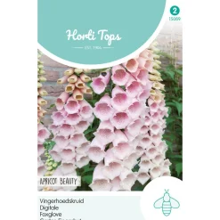 Horti Tops Moestuin<Vingerhoedskruid Apricot Beauty