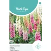Horti Tops Moestuin<Vingerhoedskruid mix