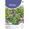 Horti Tops Moestuin<Wilde Marjolein / oregano zaad