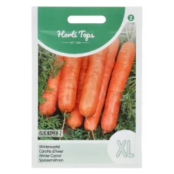 Horti Tops Moestuin<Wortelen Berlikumer 2