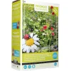 Buzzy Moestuin<XL Lieveheersbeestjes bloemenmengsel 50m2