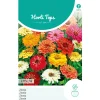 Horti Tops Moestuin<Zinnia Thumbelina laag mix