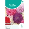 Horti Tops Moestuin<Zomeraster Koningin der Hallen Mix