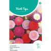 Horti Tops Moestuin<Zomeraster Pompon Mix
