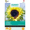 Buzzy Moestuin<Zonnebloem Moonwalker