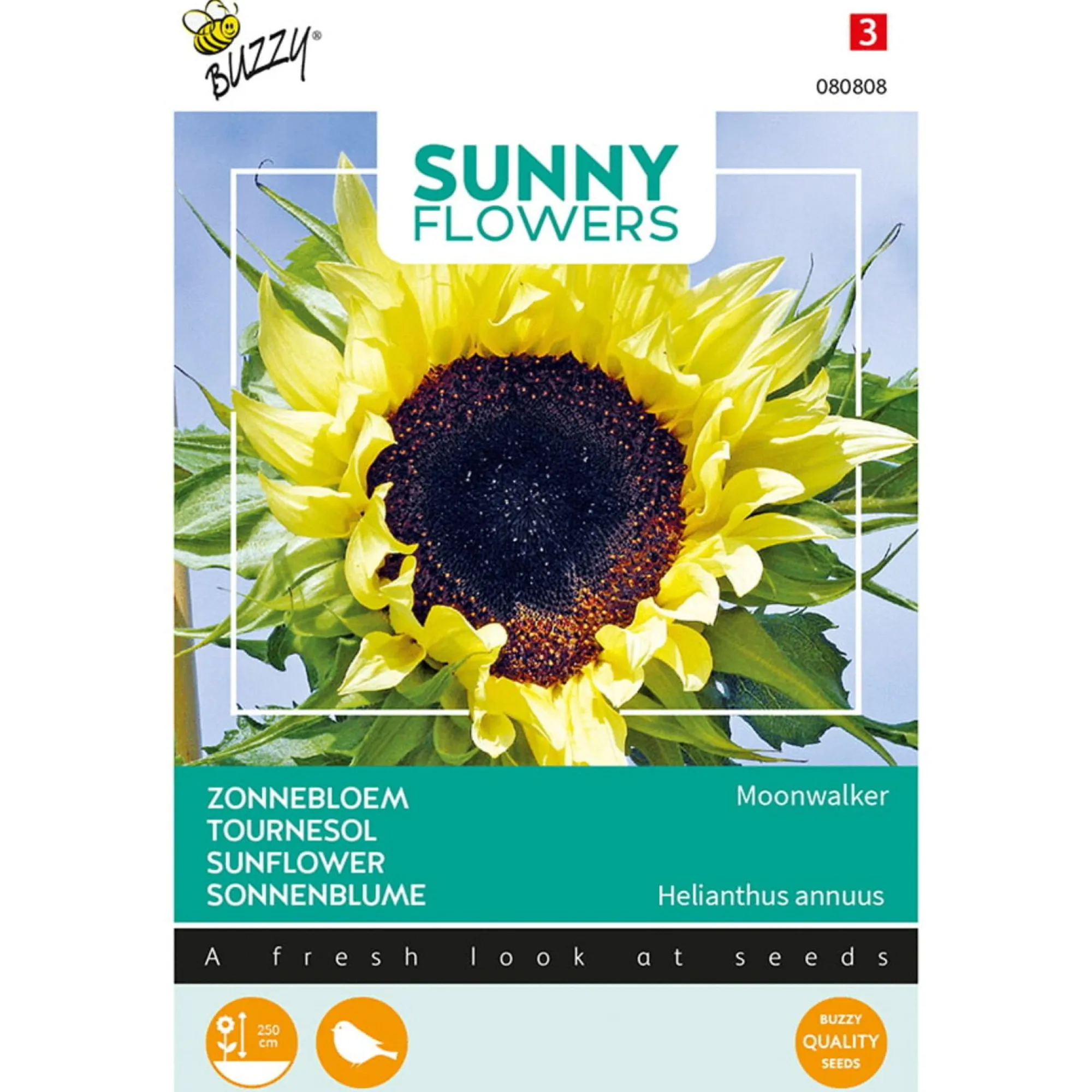 Buzzy Moestuin<Zonnebloem Moonwalker