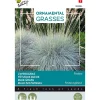 Buzzy Moestuin<Zwenkgras